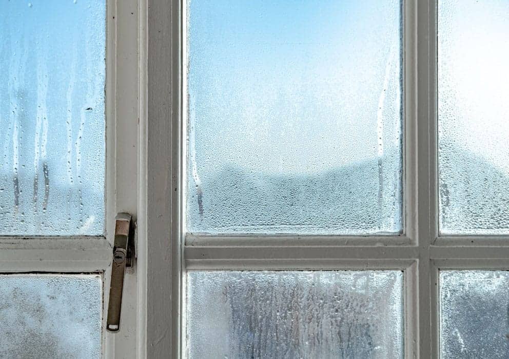 A Straightforward Guide to Checking Your Windows for Damage