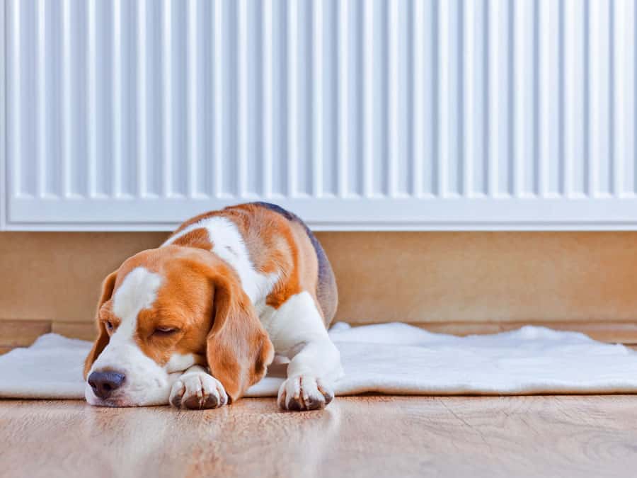 Move big furniture away from radiators