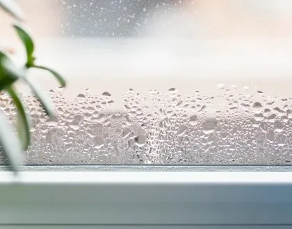 Practical Solutions to Reduce Condensation in Your Home