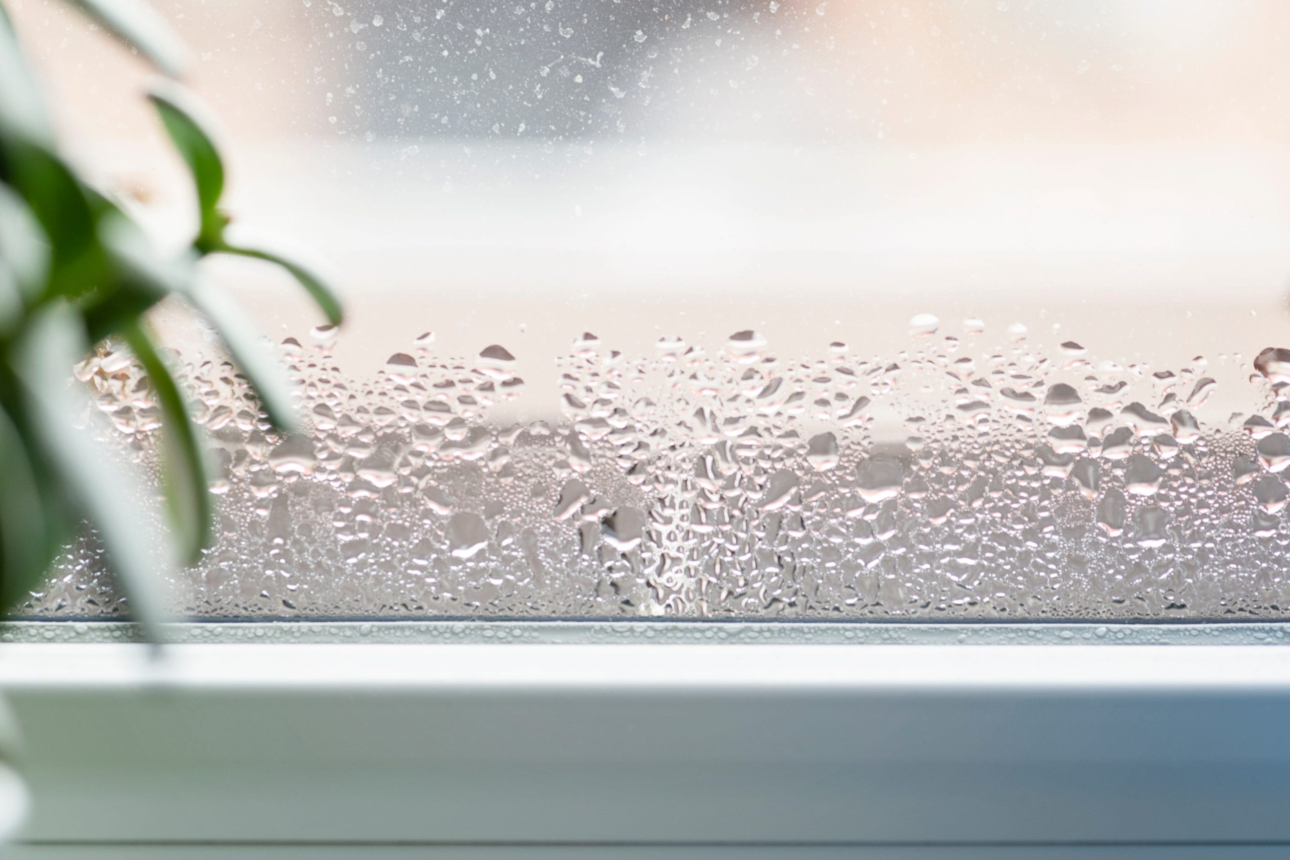 Practical Solutions to Reduce Condensation in Your Home